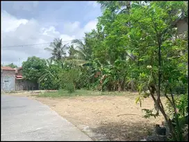 2 Menit Pasar Jombokan Tanah Murah Tawangsari