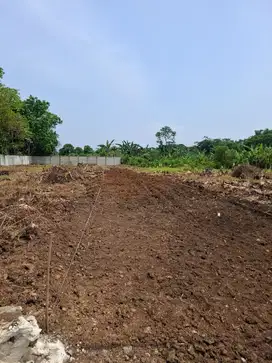 Buruan! Kavling SHM Murah di Cisauk – Mulai 1 Jutaan/m², Lokasi Top