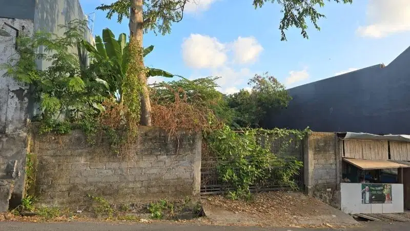 Tanah muding Kerobokan kaja