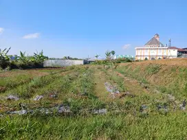 Tanah Murah Lowokwaru Kota Malang Cocok Bangun Hunian