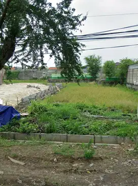 Kavling BANGKINGAN  Lakarsantri surabaya barat