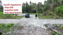 Tanah 900 Rb-an di Tawangsari Dekat Bandara YIA