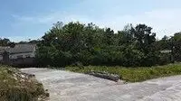 Tanah Jogja: Dijual Pekarangan di Sleman, NEGO LUNAK