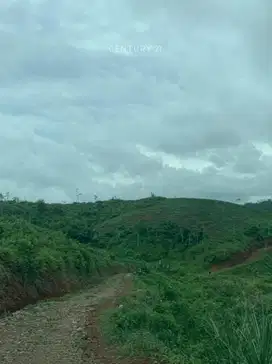 Tanah Lahan Perkebunan Cocok Untuk Tempat Wisata Di Cianjur S8539