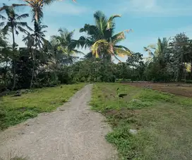 Lahan Untuk Hunian Timur RS Indriati Boyolali
