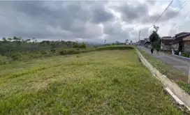 Tanah murah luas 2.57 ha di wagir malang bagus buat pondok, kebun, dll