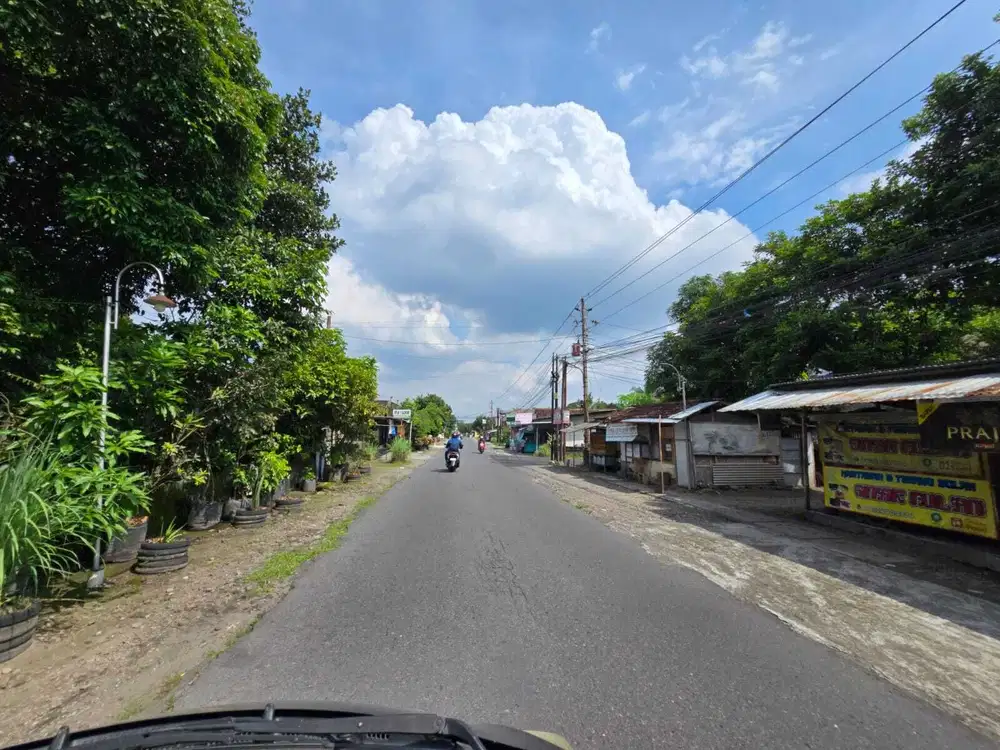 Luas 100-an; Utara Pasar Cebongan
