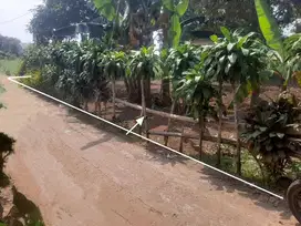 TANAH DATAR MURAH DAN STRATEGIS DI PARUNG BOGOR