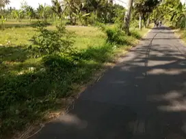 Tanah dijual murah dekat UII Kaliurang, SHM P Unit akses papasan