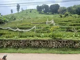 Tanah pinggir jln view bagus Dampit cicalengka