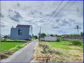 Dekat exit toll Jogja tanah nogotirto ,SHM P tepi aspal
