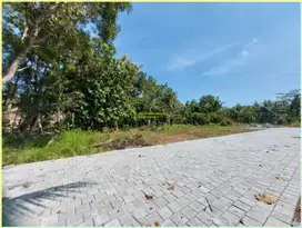130 juta dapat Tanah dekat Bandara YIA di tawangsari kulonprogo