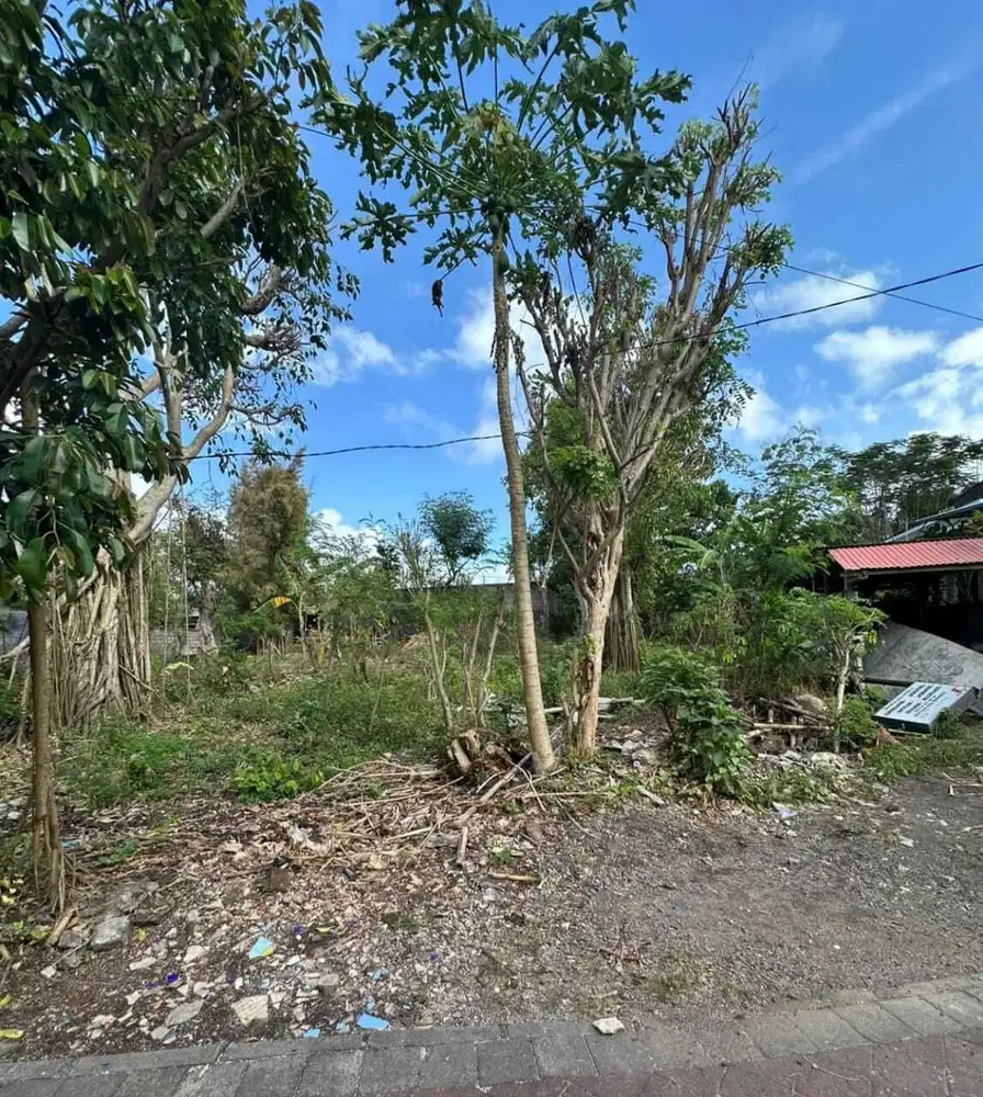 DIJUAL TANAH AREA JALAN PURA MASUKA UNGASAN BALI