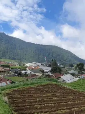 Tanah Tawang Mangu 1964Mt, Ld 28Mt, Gondosuli, Karang anyar