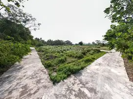 Siap AJB  Tanah Dijual Kulonprogo Kawasan Industri Wates