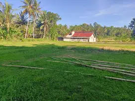 Tanah Investasi Kulonprogo, Pasti Cuan
