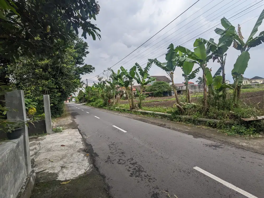 Jl Kaliurang km 8, Peruntukan Homestay, Suasana Asri
