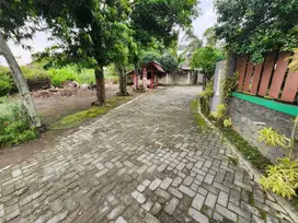 PALING MURAH di Pogung Lor Jogja : Cocok Untuk Kost