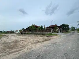 Tanah Murah Utara Kampus UGM Jogja, Cocok Huni Investasi