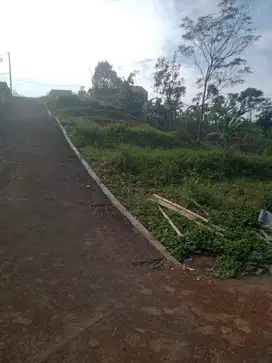 Lahan baru dataran tinggi