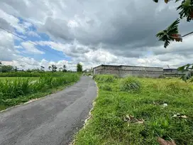 Jual Cepat Tanah Kaliurang Km 9  Sleman, SHM P