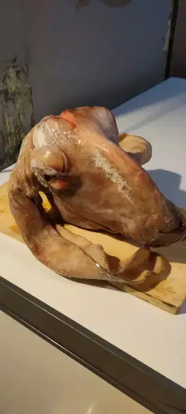 Kepala dan kaki kambing