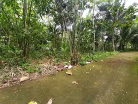 Cari Tanah Jogja Daerah Temon, Dekat Bandara YIA, Jogja Barat