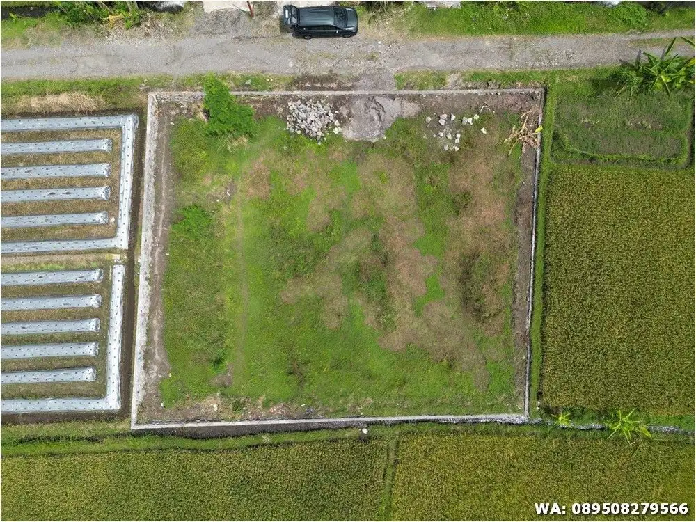 Pekarangan SHM Murah Lingkungan Asri View Sawah dan Merapi