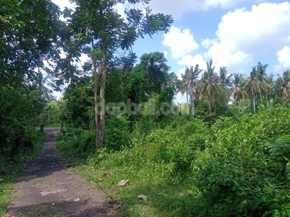 4200sqm plantation land for sale in Selemadeg, Tabanan-Bali