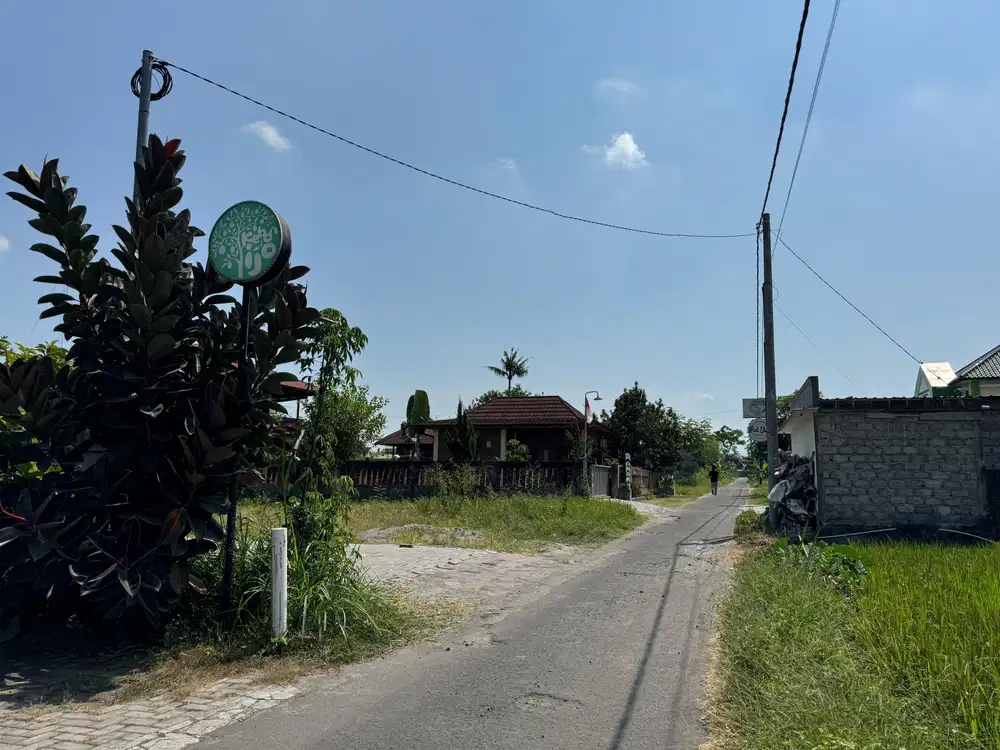 Dekat Jl. Palagan Tentara, View Persawahan