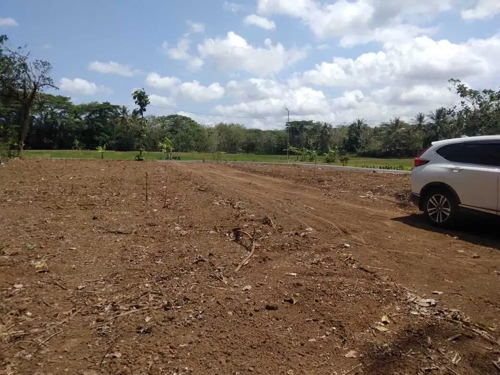 Tanah Sleman Dijual Murah, LD 10 Meter, SHM