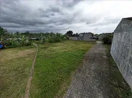 Tanah Apik Pogung Lor Area Jl Kaliurang Km 5 Pandega Padma Siap Bangun
