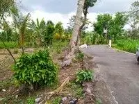 Kapling Sleman, 6 Menit ke UII, Layak Hunian