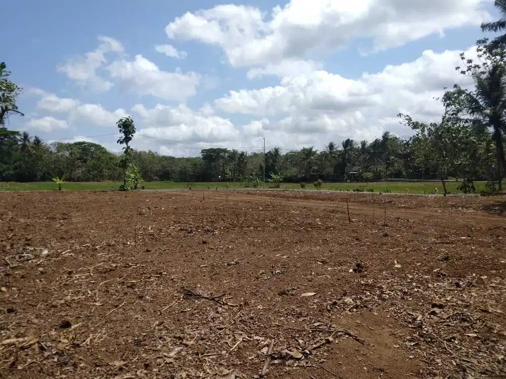 Pekarangan DUA MUKA: View Sawah, Lingkungan Nyaman