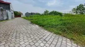 Tanah Jogja Area Kampus UGM Pogung Lor Jl. Pandega Jl. Kaliurang Km 5