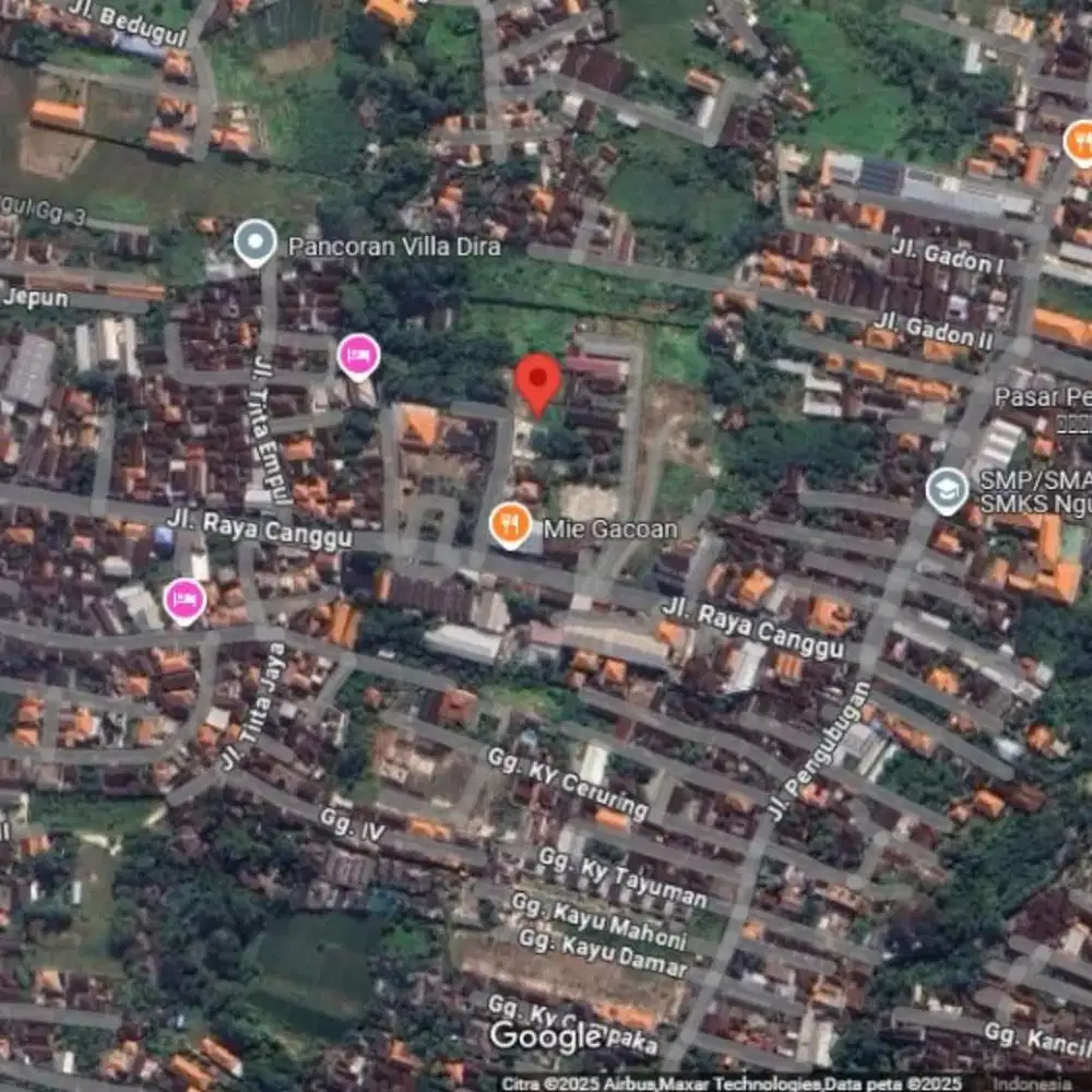 Tanah kontrak termurah di canggu