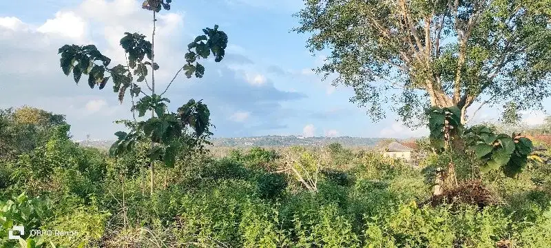 tanah Kawasan hotel Ayana Jimbaran