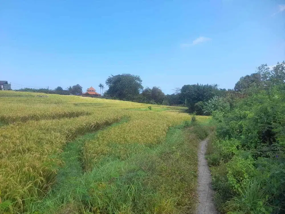 LAND FOR SALE IN CEMAGI BADUNG