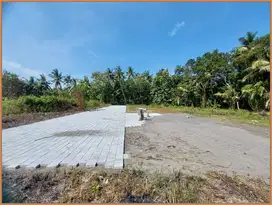 95 Juta Tanah Murah Jogja, di Kulonprogo dekat YIA