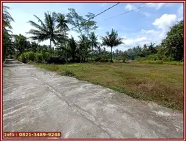 Investasi Tanah di Kulonprogo Area Bandara YIA Jogja : Cocok Kost