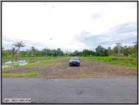 Dijual Tanah di Pandanaran Sleman, SHM Pekarangan