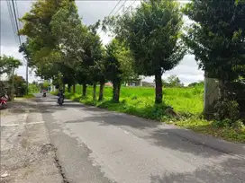 Jl Kaliurang km 10, Cocok Bangun Usaha