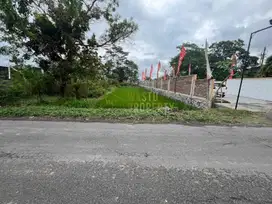 DIJUAL TANAH LUAS SHM MANGKU JALAN DI GODEAN