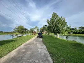 Jual Tanah pekarangan subur murah di Wisata Goa Pindul Gunung Kidul