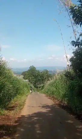 Tanah murah pinggir jalan kemiri jabung hanya 130 rb investasi bagus