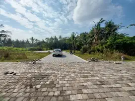 Dekat Bandara YIA & Kampus UNY - Potensi Homestay Menjanjikan