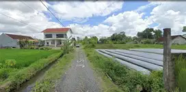 Tanah Murah Kaliurang km 10 Sardonoharjo; Sleman,