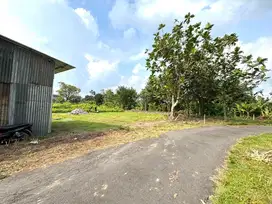 Dekat Jl Palagan/Jl Gito Gati, Tanah Murah Sleman Jogja