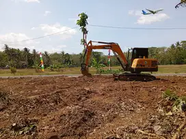Pekarangan Sleman, Bisa Nego dan Tempo, Sertipikat Hak Milik