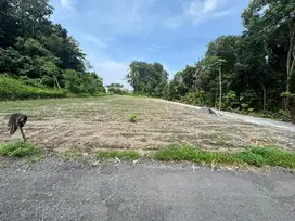 Tanah Siap Bangun, Lingkungan Kos Kampus UII Jogja